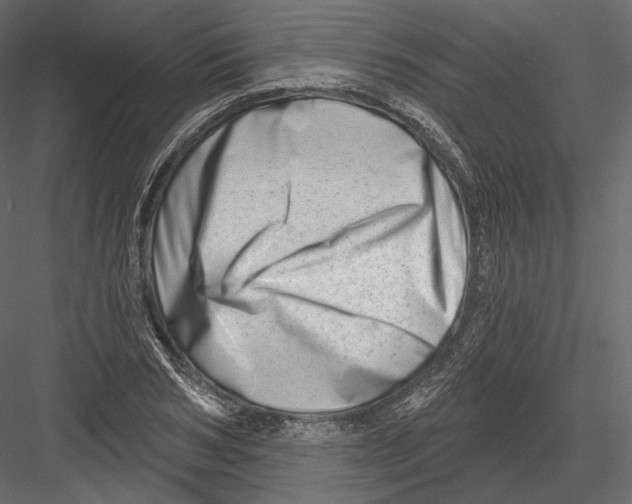 X0000082960978200702222335