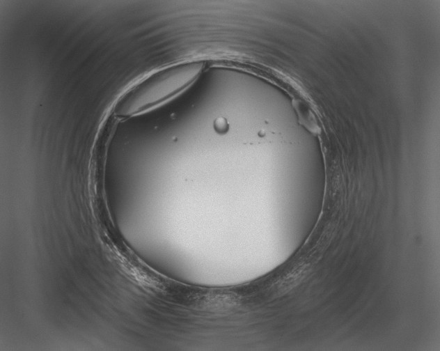 X0000082960979200702222335