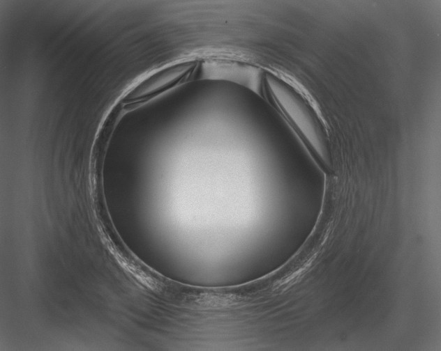 X0000082960981200702222335