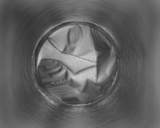 X0000082960982200702222335