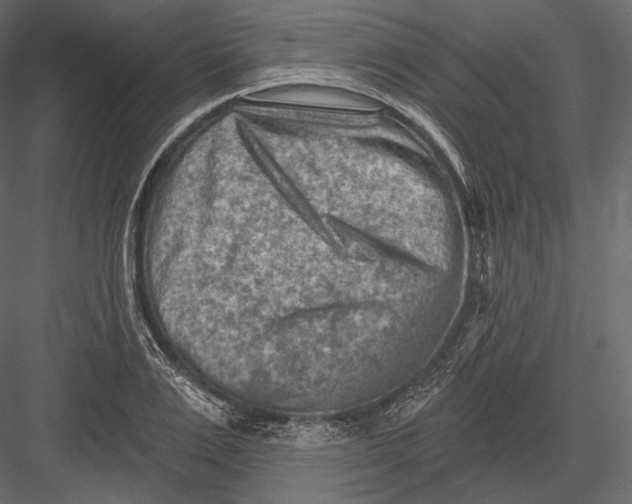 X0000082960983200702222335