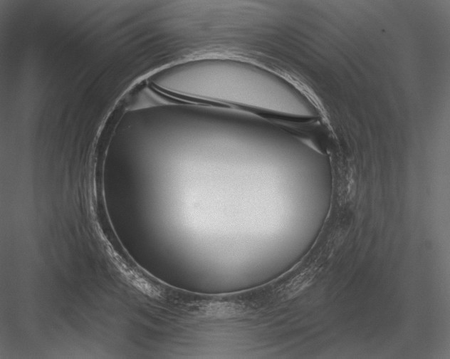 X0000082960984200702222335