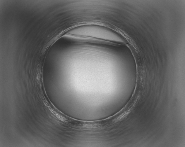 X0000082960985200702222335