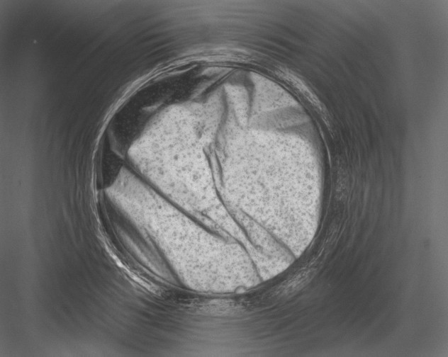 X0000082960986200702222335