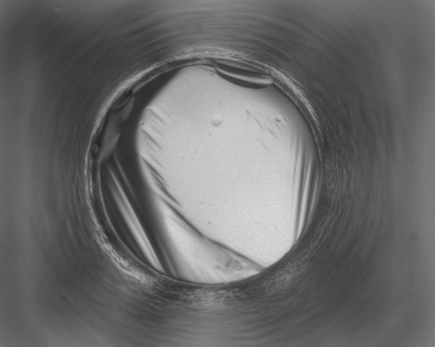 X0000082960987200702222335