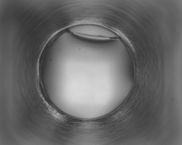 X0000082960988200702222335