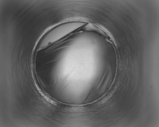 X0000082960989200702222335