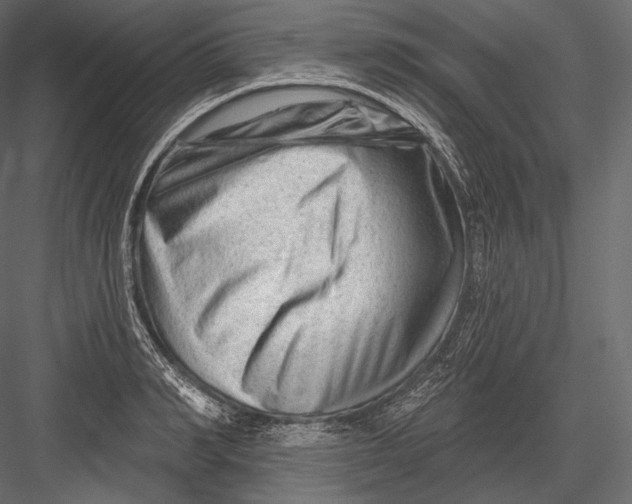 X0000082960990200702222335