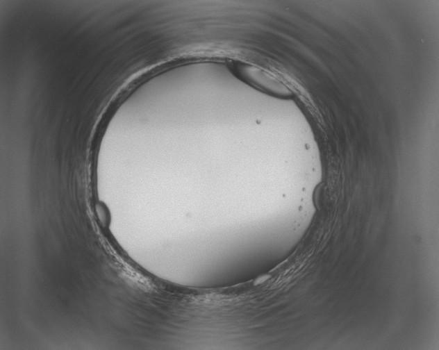 X0000082960992200702222335