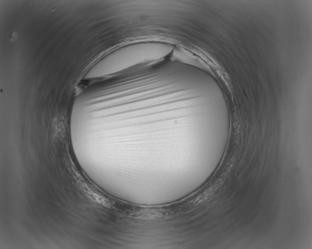 X0000082960993200702222335