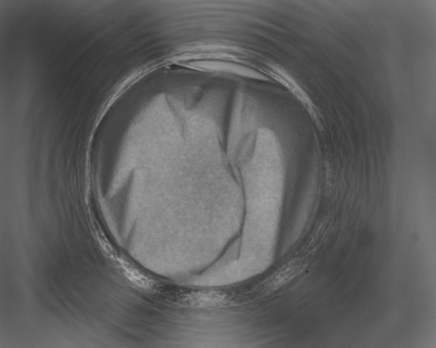 X0000082960994200702222335