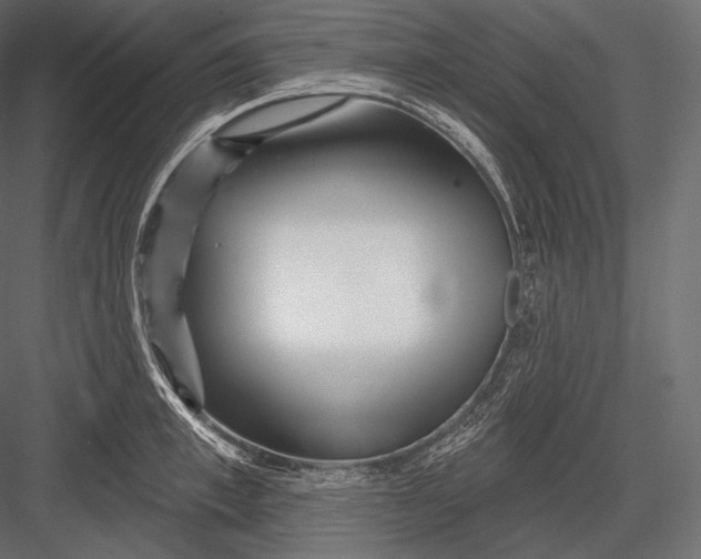 X0000082960997200702222335