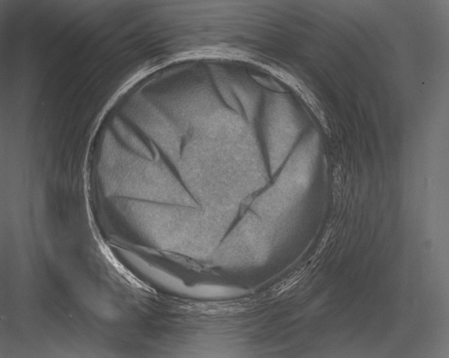 X0000082960998200702222335