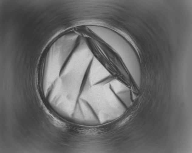 X0000082960999200702222335