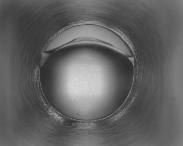 X0000082961001200702222335