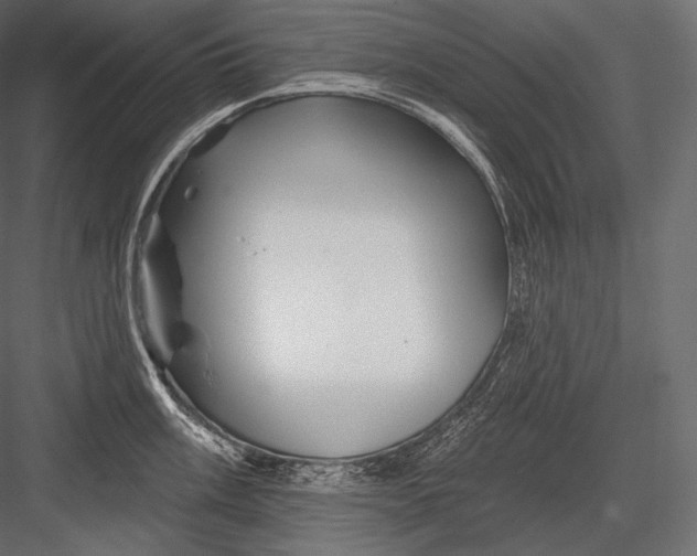 X0000082961003200702222335