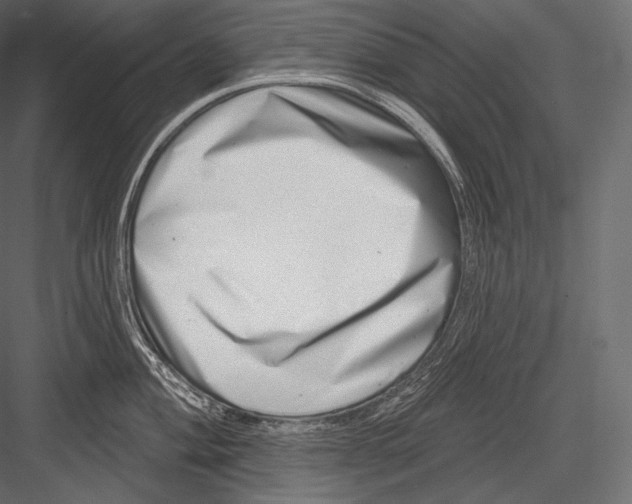 X0000082961004200702222335