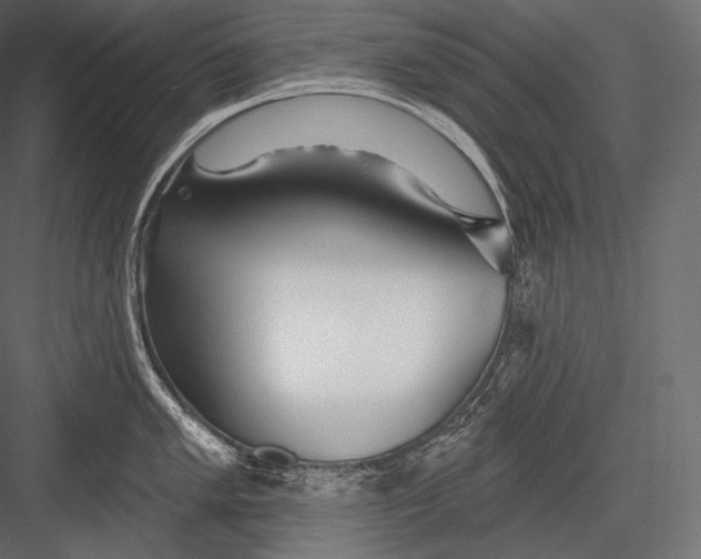 X0000082961005200702222335