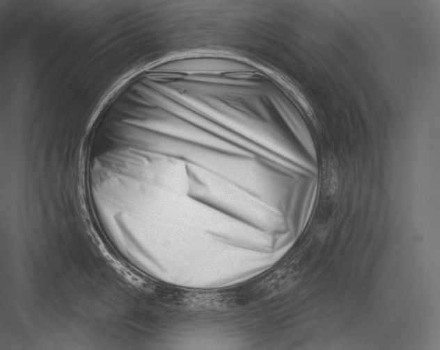 X0000082961006200702222335