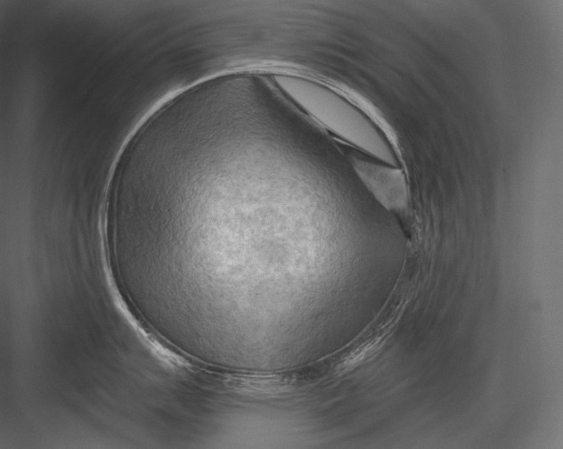 X0000082961007200702222335