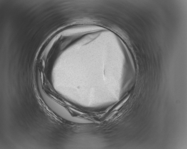 X0000082961008200702222335