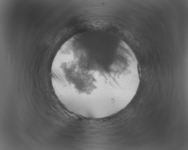 X0000082961009200702222334