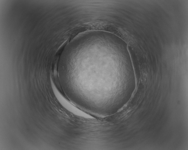 X0000082961010200702222334