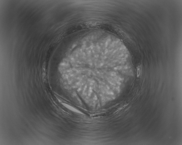 X0000082961011200702222334