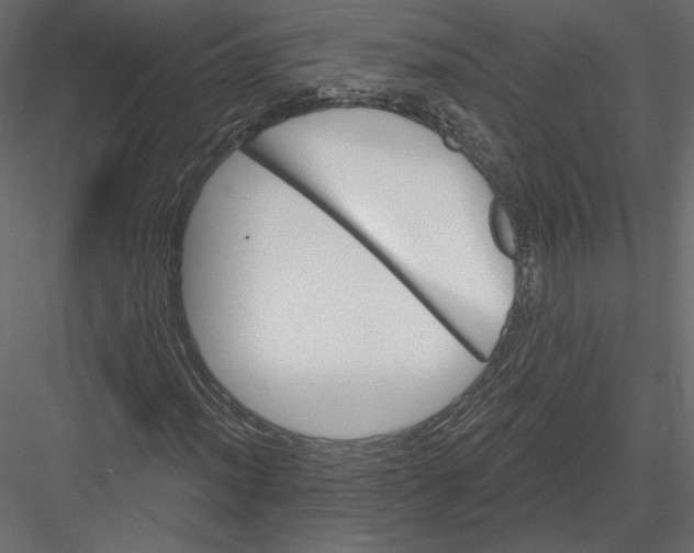 X0000082961012200702222334