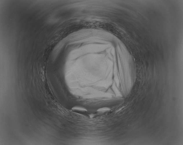 X0000082961013200702222334