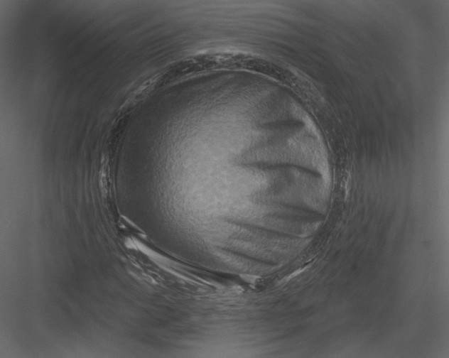 X0000082961014200702222334