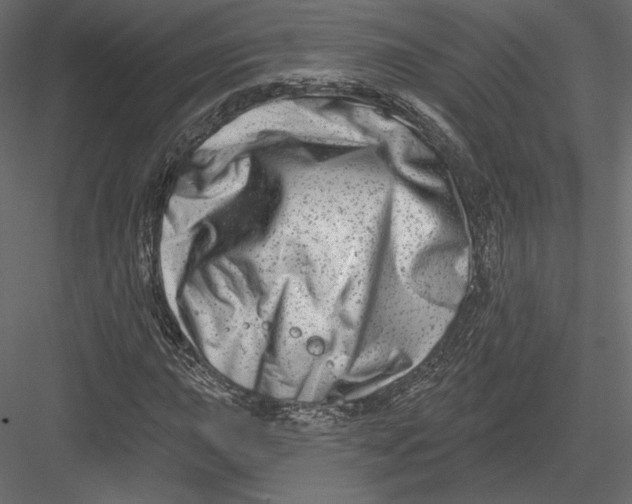 X0000082961015200702222334