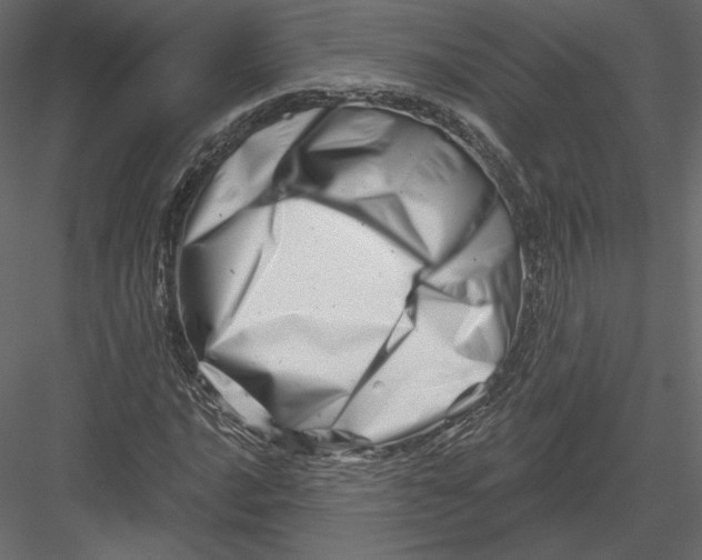 X0000082961016200702222334