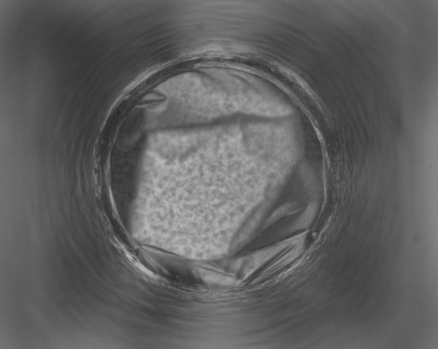 X0000082961018200702222334