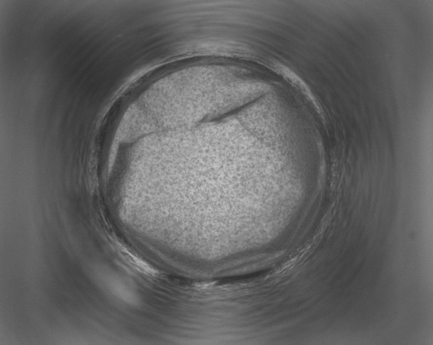 X0000082961019200702222334