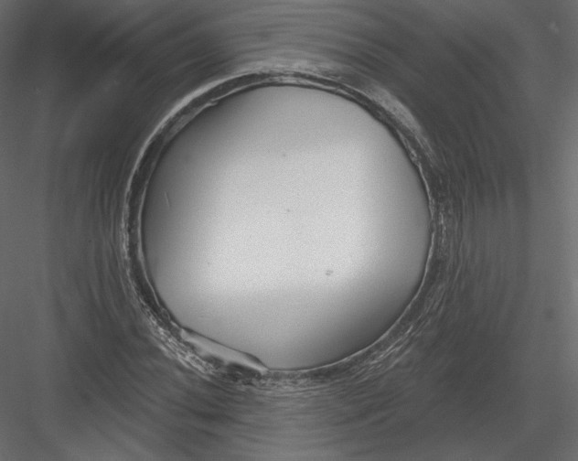 X0000082961020200702222334