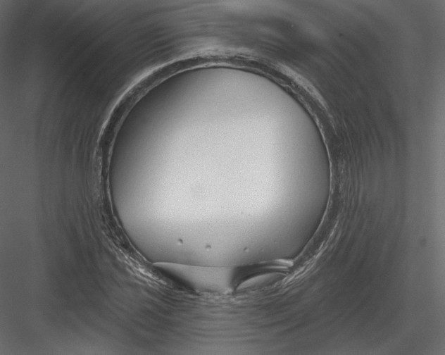 X0000082961021200702222334