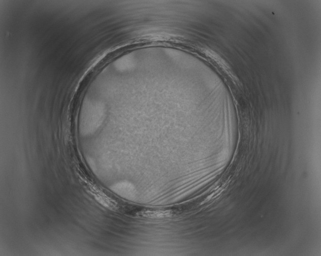 X0000082961023200702222334