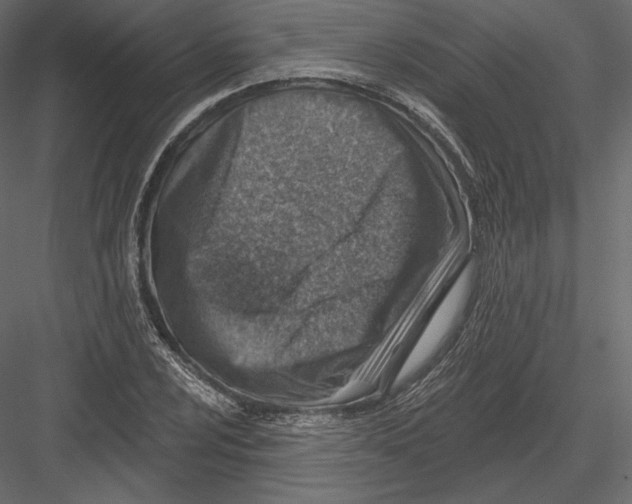 X0000082961024200702222334