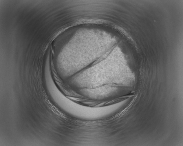 X0000082961025200702222334