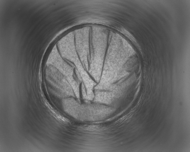 X0000082961028200702222334