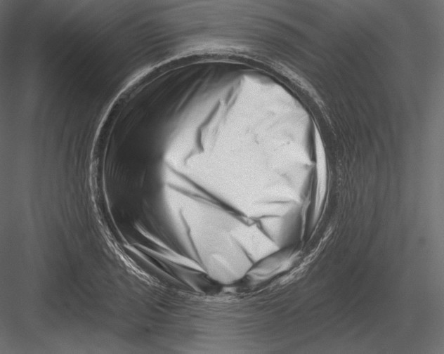 X0000082961029200702222334