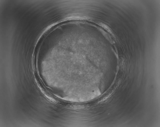 X0000082961030200702222334