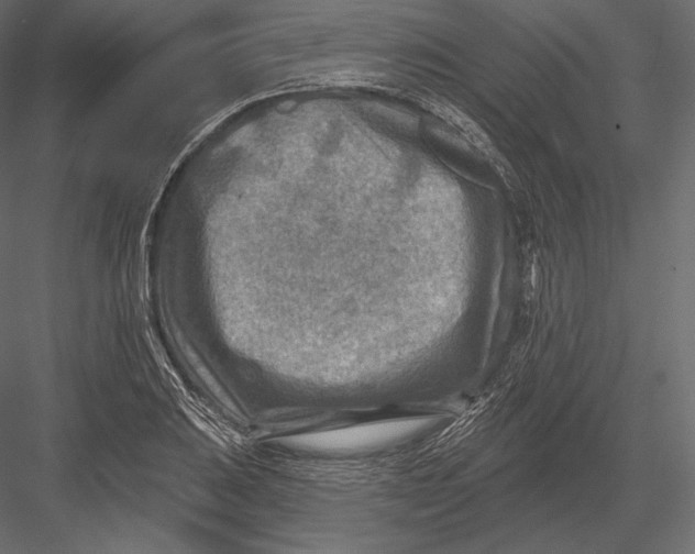 X0000082961031200702222334