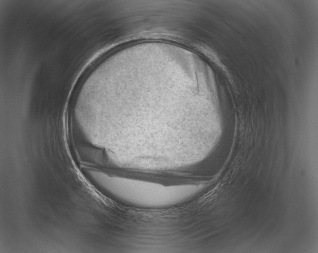 X0000082961032200702222334