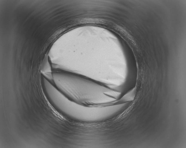 X0000082961033200702222334