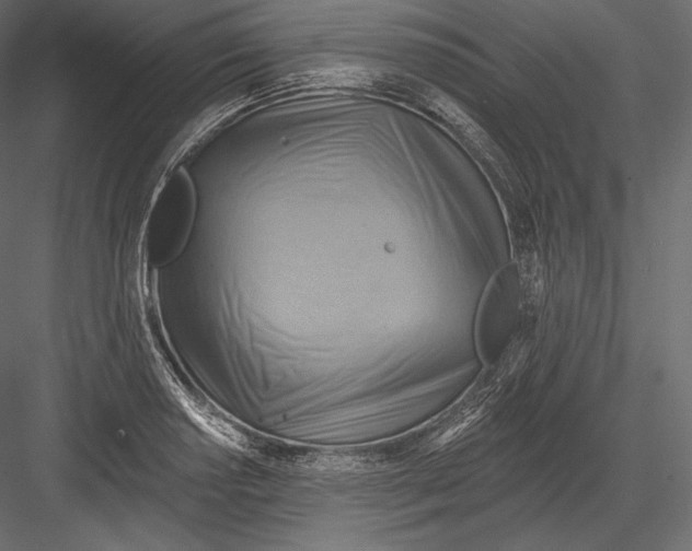 X0000082961034200702222334