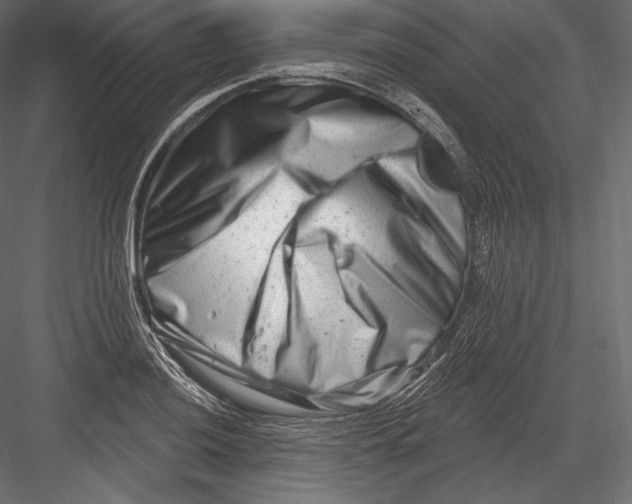 X0000082961036200702222334