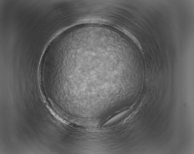 X0000082961037200702222334