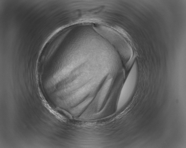 X0000082961038200702222334